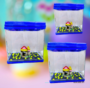 Aquarium