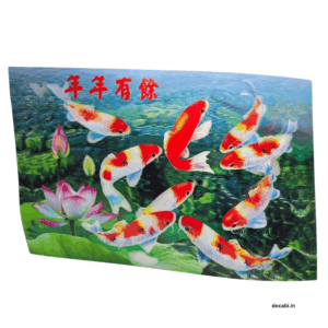 offer-zone-fishes