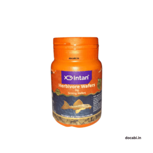 (2Pc),40gm Intan Herbivore Wafers big FISH FEED ( sinking wafers)