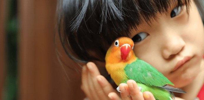 Home 335 Banner Image