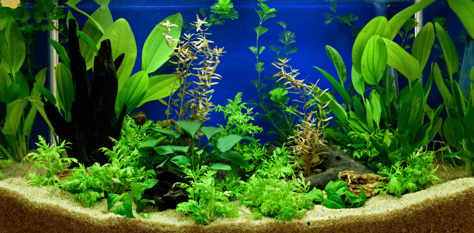 Home 331 Banner Image