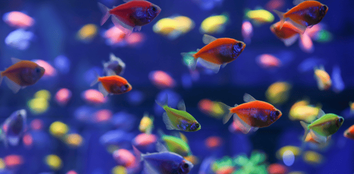 Home 166 Banner Image