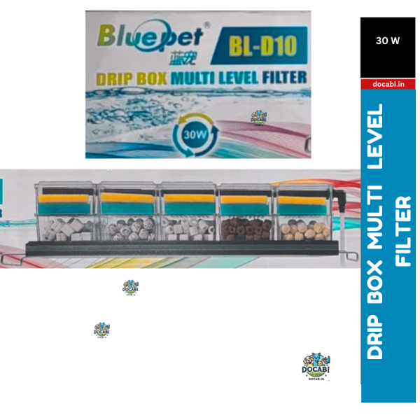 Untitled 800 x 800 px 17 1